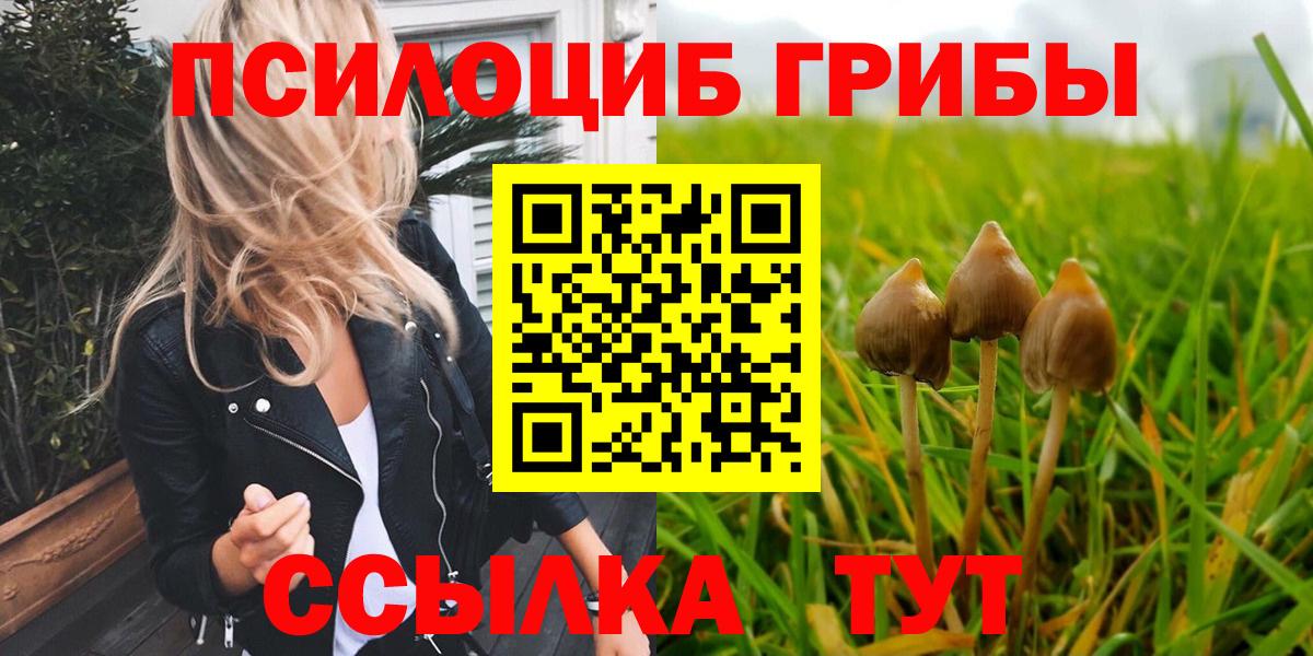Георгиевск  Псилоцибиновые грибы Magic Shrooms  Галлюциногенные грибы мицелий  Вход с VPN 